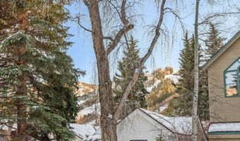 326 W Hopkins Ave, Aspen, CO 81611