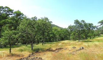 3528 Appaloosa Way, Angels Camp, CA 95222