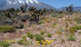 4 Camp Bonanza Rd, Cold Creek, NV 89124