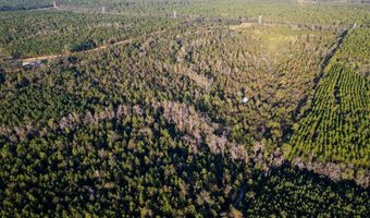 0 Morris Lndg, Baxley, GA 31513