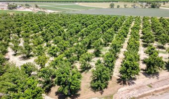 Wallace Road, Anthony, NM 88021