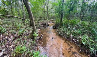 122 Whitehead Rd, Abbeville, AL 36310