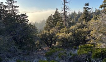 Ironwood, Angelus Oaks, CA 92305