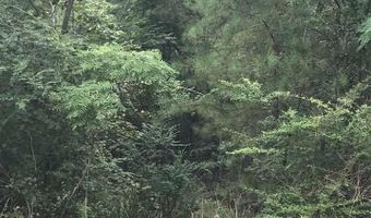 CONSTELLATION AVENUE lot 1, Alpine, AL 35014