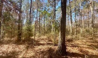 0 Tervin Mill Rd, Andalusia, AL 36421