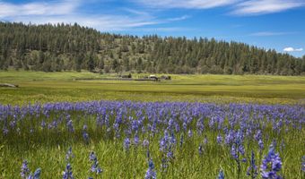 Fishhole Creek Road, Bly, OR 97622