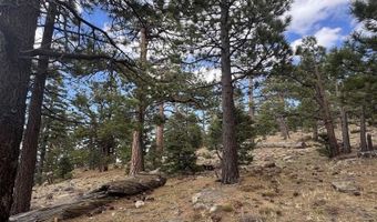636 Mountain Center 35-0002, Mountain Center, CA 92561