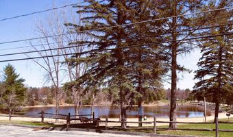 N Forest Lake Drive, Alger, MI 48610