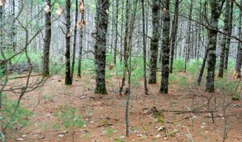 255 45 Ac Dover Dr, Adams, WI 53910
