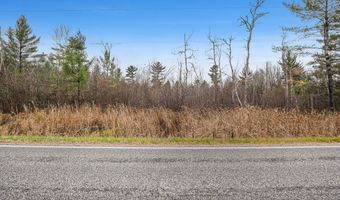 VL Wildwood Road, Alger, MI 48610