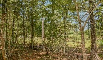 5 N Hall Rd, Antlers, OK 74523