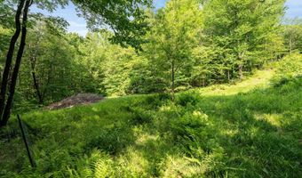 115 Stone Hill Rd, Bolton, VT 05477