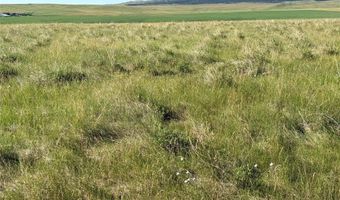 UBET Road, Buffalo, MT 59418