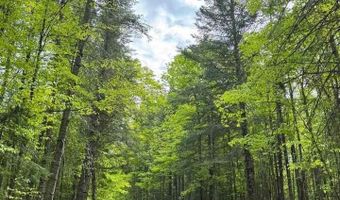TBD W Shipley Rd, Alborn, MN 55702