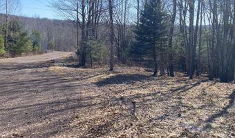 L22.2 Alder Pond Road, Andes, NY 13740