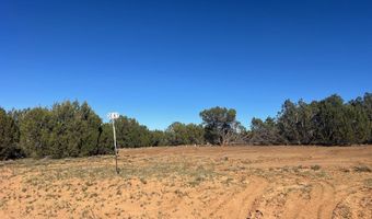 96 CR3041, Concho, AZ 85924