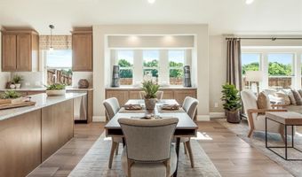 805 Twin Pine Ct, Anna, TX 75409