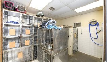 13039 Nacogdoches Rd, San Antonio, TX 78217
