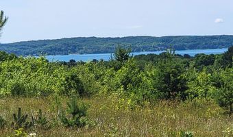 Parcel D Cemetery Road, Alden, MI 49612