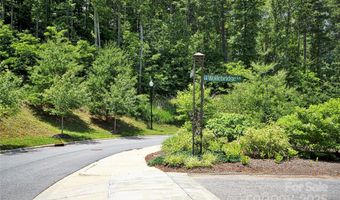 68 Wolfebridge Ln 16, Asheville, NC 28804
