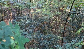 Lords Way, Andrews, NC 28901