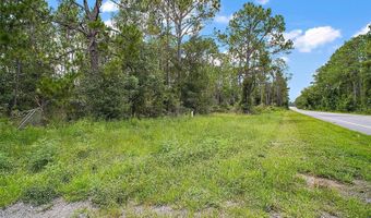 52151 STATE ROAD 19, Altoona, FL 32702