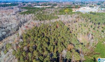 1374 E HIGHWAY 280 Lot 1374, Alexander City, AL 35010