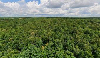 County Road 200, Alton, MO 65606