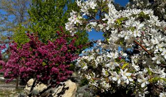1030 Lakeside Dr, Gardnerville, NV 89460