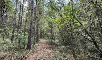 25 Acres Silo Rd, Altoona, AL 35952