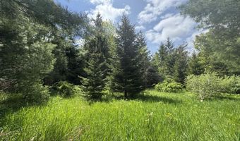E W Resort Road lot 2, Alanson, MI 49706