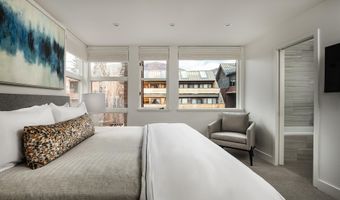 704 E Hyman Ave, Aspen, CO 81611