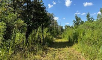 816 Denton Trl, Brookhaven, MS 39602