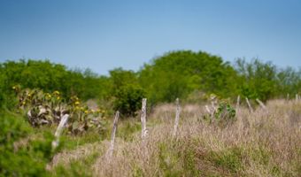 FM 735, Alice, TX 78332