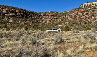 TBD X4 Road, Bedrock, CO 81411