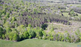9 Old Stage Rd, Ardmore, TN 38449