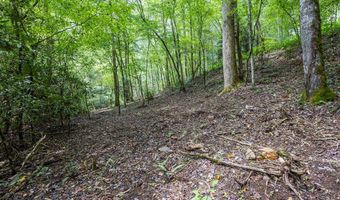 1034 Chestnut Flats Rd, Andrews, NC 28901