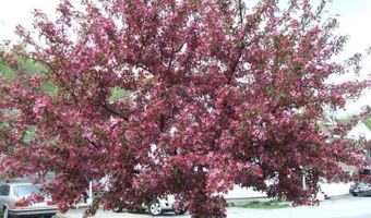 518 Western Ave, Berlin, NH 03570