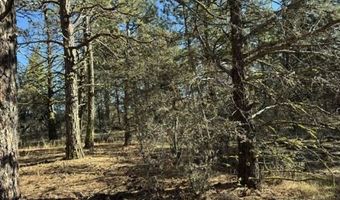 Bunting Drive, Bonanza, OR 97623