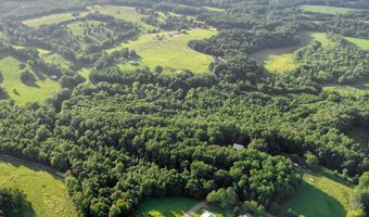 Co Rd 88, Anderson, AL 35610