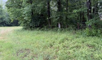 100 Acres Highway 34 W, Beech Grove, AR 72412