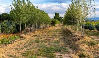 9001 2100 Rd, Austin, CO 81410