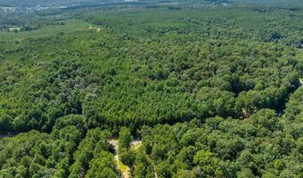 000 McCoy Pointe Dr, Arley, AL 35541