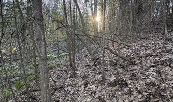 V/L Wildwood Road lot 1, Alger, MI 48610