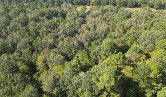 7 N Hall Rd, Antlers, OK 74523