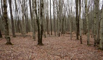 County Route 16, Angelica, NY 14709