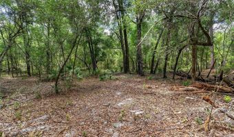SE 152ND - LOT 17 RAVENSWOOD RD PARCEL C Place, Altoona, FL 32702