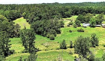 400 Kelley Rd, Tallapoosa, GA 30176