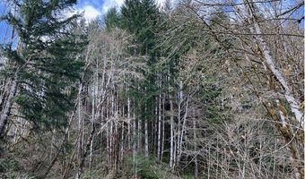 Northrup Creek Rd, Birkenfeld, OR 97016