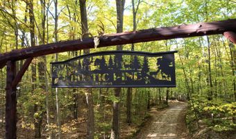 6402 Rustic Pine Trl, Alanson, MI 49706